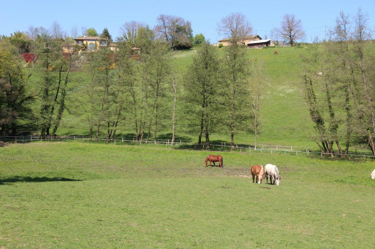 Le Vallon De Saint Andre Limonest Exteriér fotografie